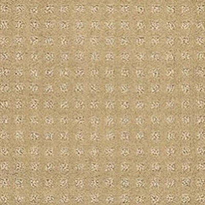 Alluring Disposition - White Hot - Warmth