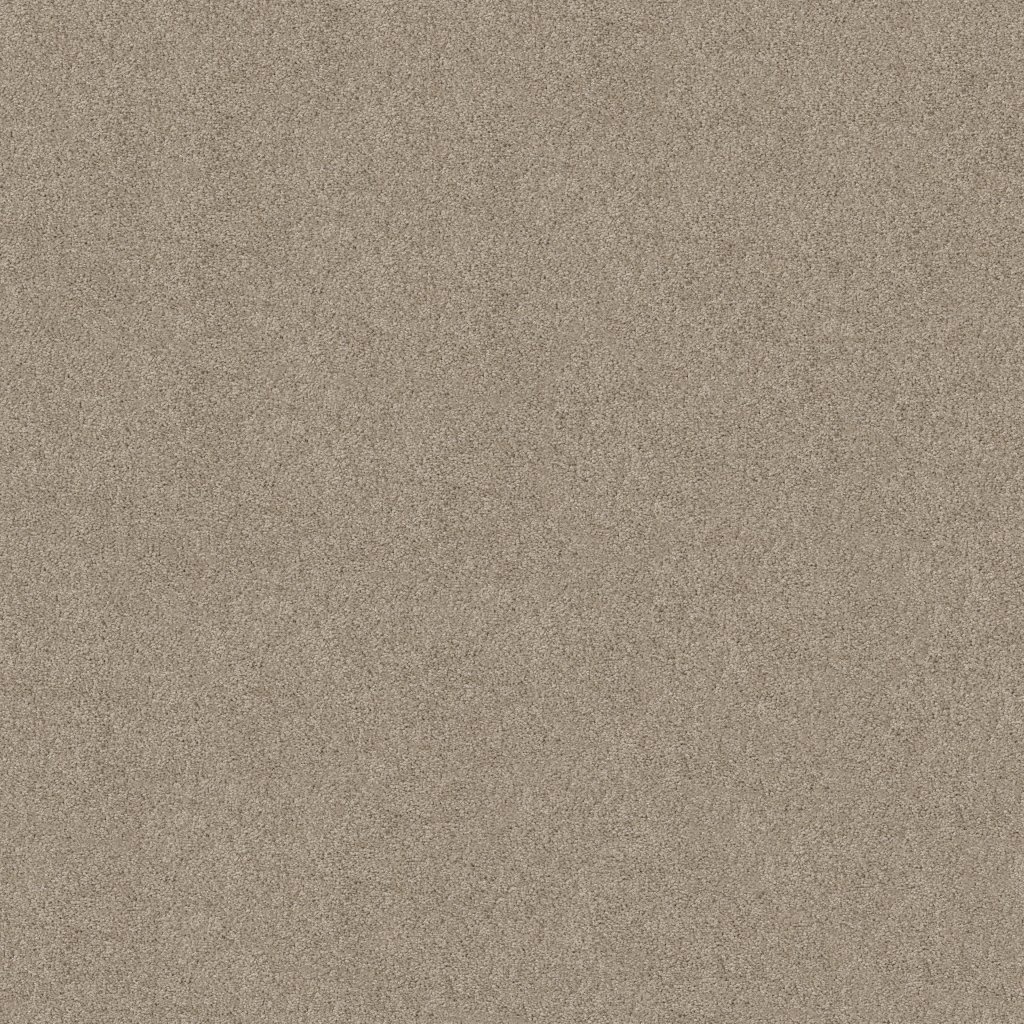Shaw Floors Embark - Sea Salt