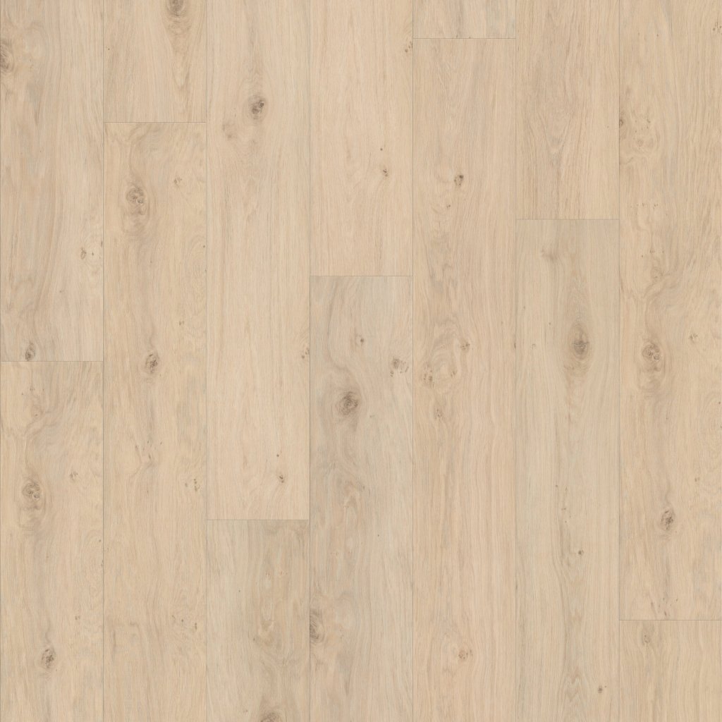 Riviera - Wishbone White