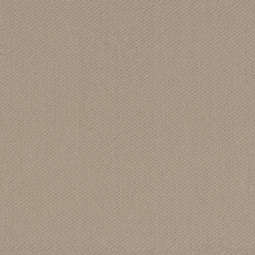 Shaw Floors Infallible Instinct - Boutique