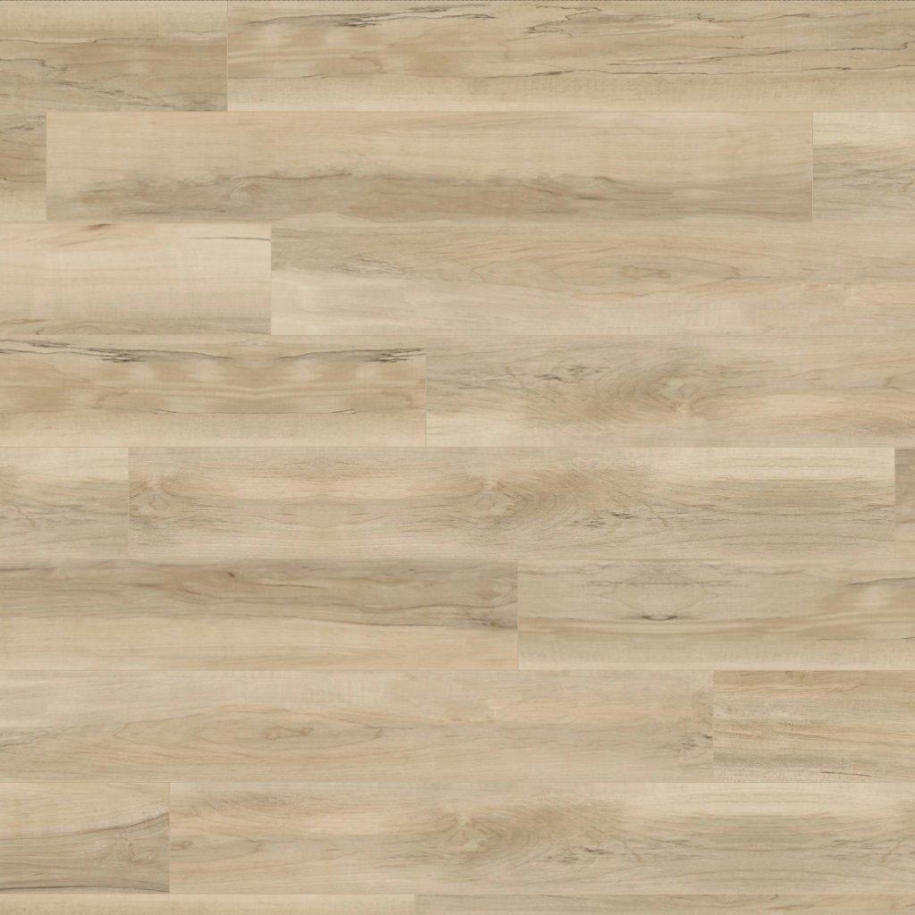 Anvil Plus