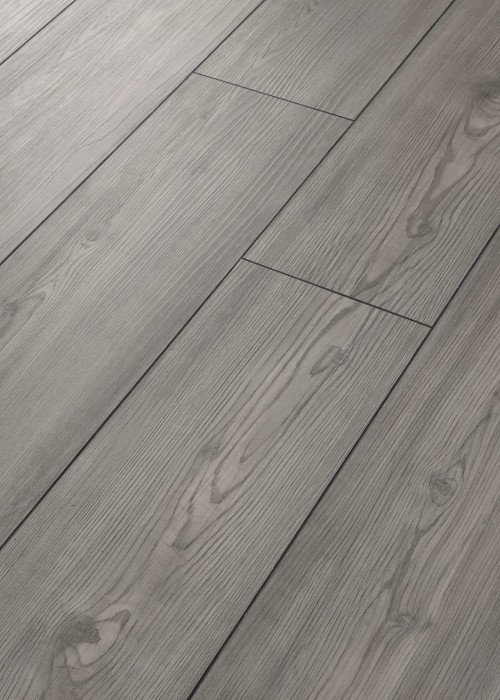 Paragon 7" Plus