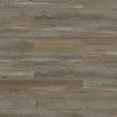 Long Bien 4.5 - Juneau - Turntable