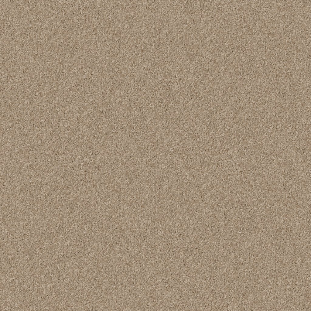 Shaw Floors Bridgewood - Aura