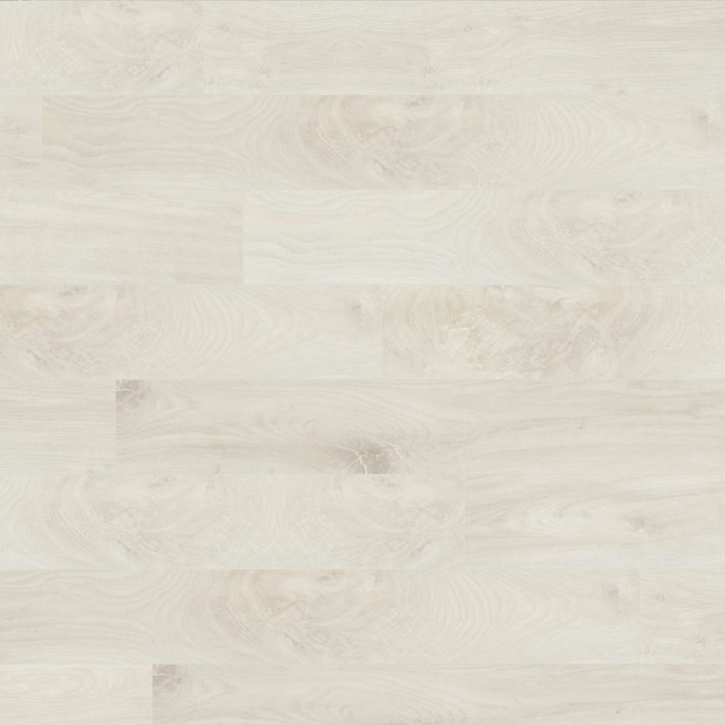Cypresta