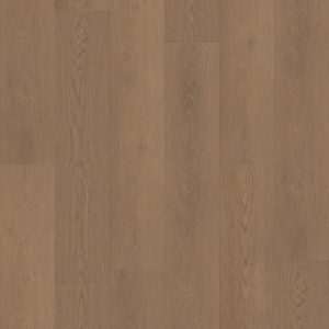 Paragon HD Plus NB