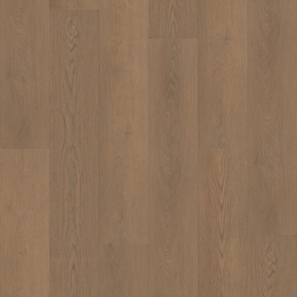Paragon HD Plus NB