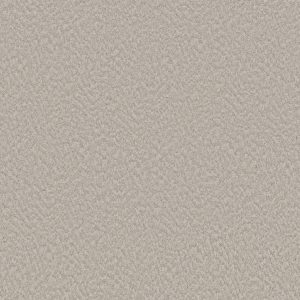 Alluring Canvas