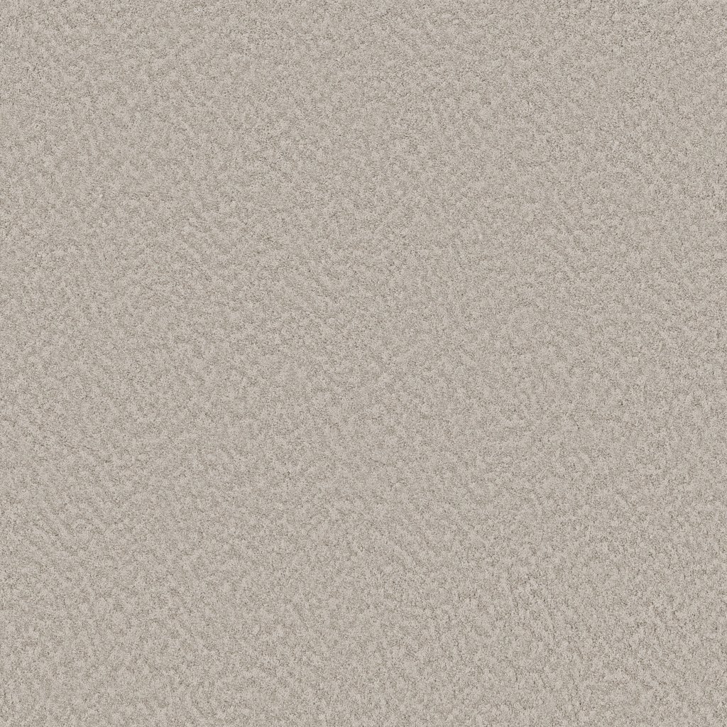Alluring Canvas