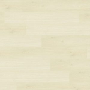 Boardwalk Collective