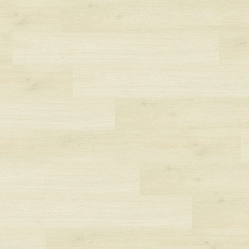 Boardwalk Collective