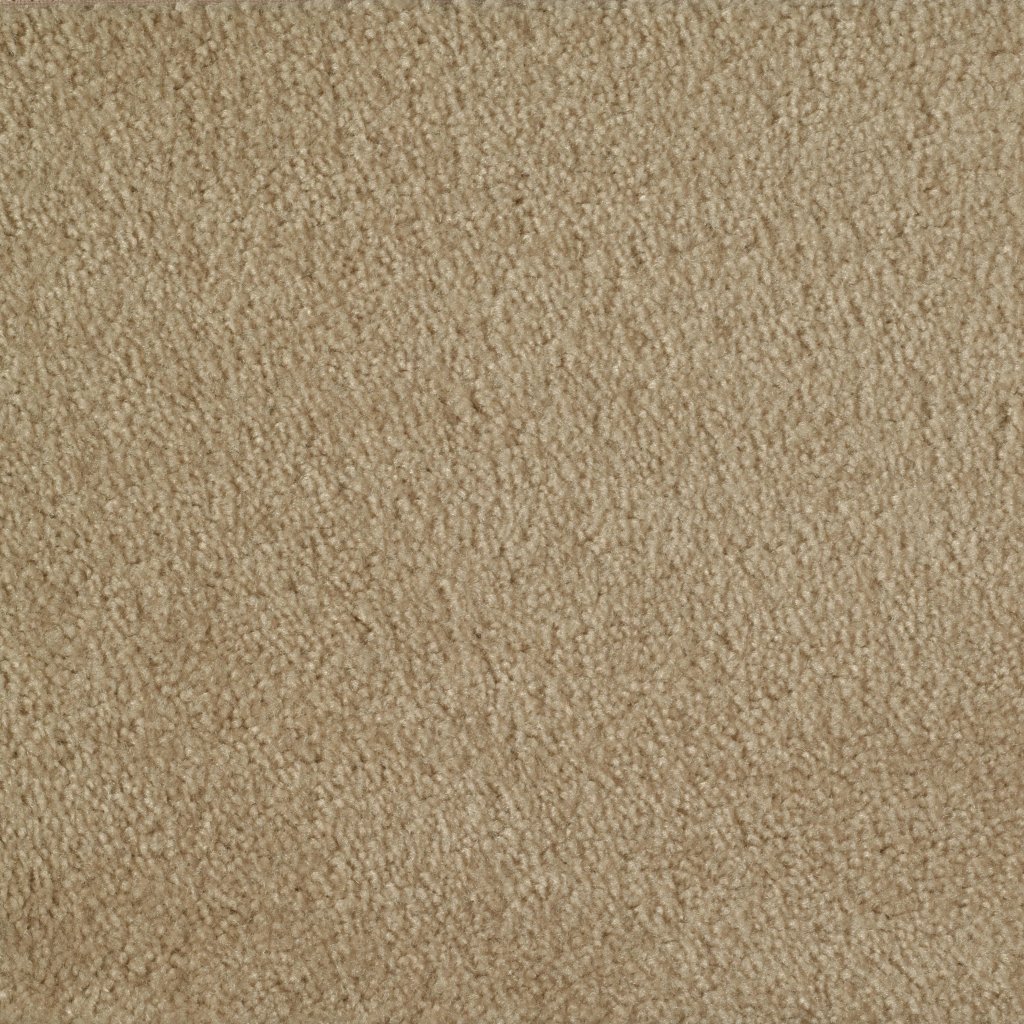 Shaw Floors THIS IS IT PLUS - Adobe