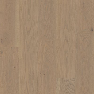 Fillmore 9.5" - Finesse - 9.45" x 15.75"