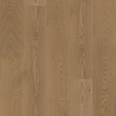 Fillmore 9.5" - Sustain - 9.45" x 15.75"