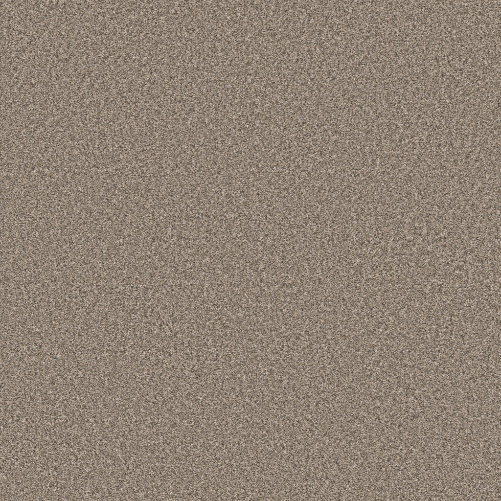 Affirmation II