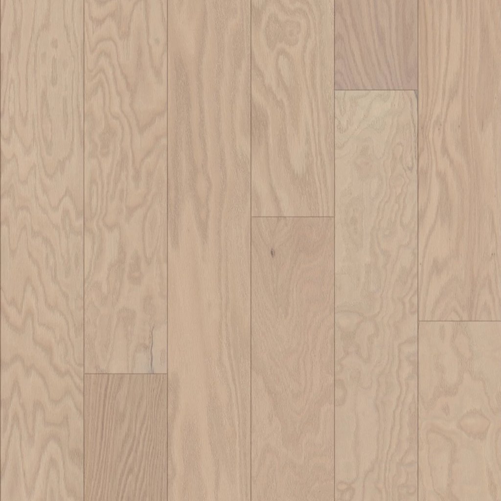 Shaw Floors Eclectic Oak - Modern