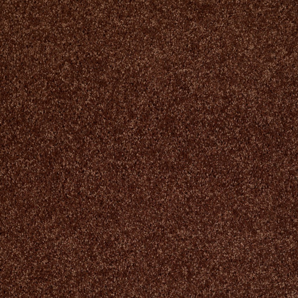 Shaw Floors Drexel Hill III 12' - Flower Pot
