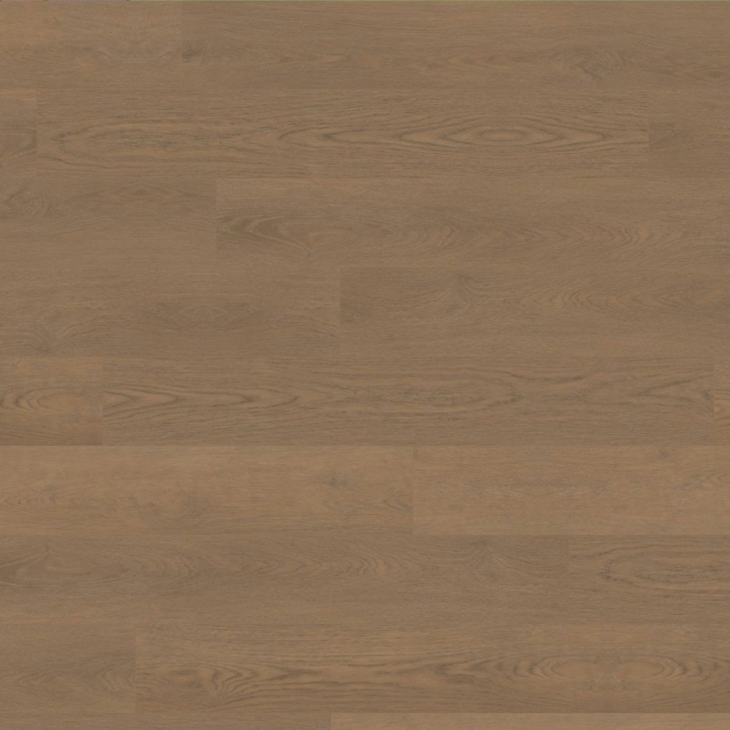 Paragon HD Plus NB