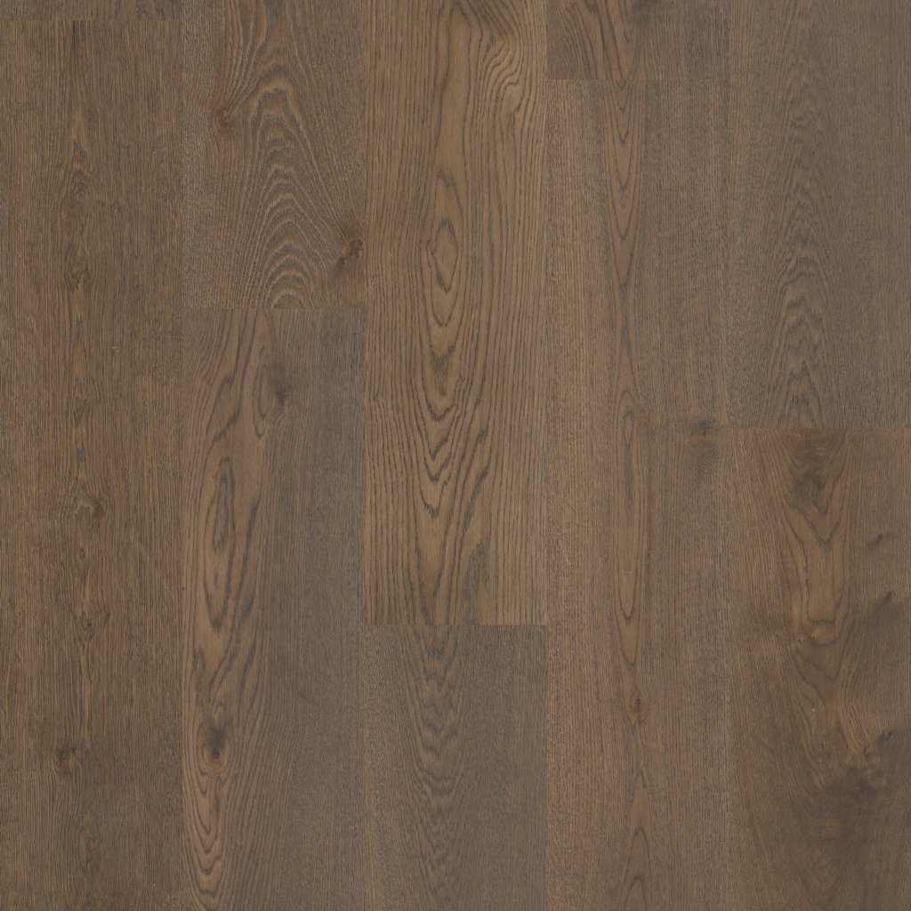 Fillmore 9.5" - Bravura