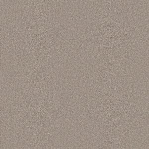 Pine Valley - Dawn Beige