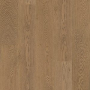 Fillmore 9.5" - Sustain