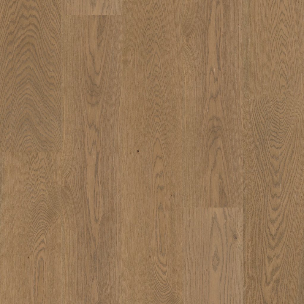 Fillmore 9.5" - Sustain