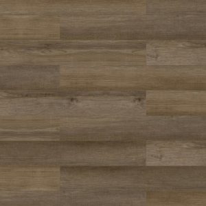 Long Bien 4.5 - Juneau