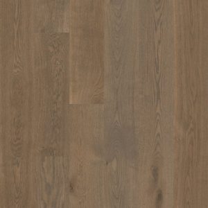 Distinguished 7.5" - Grounded