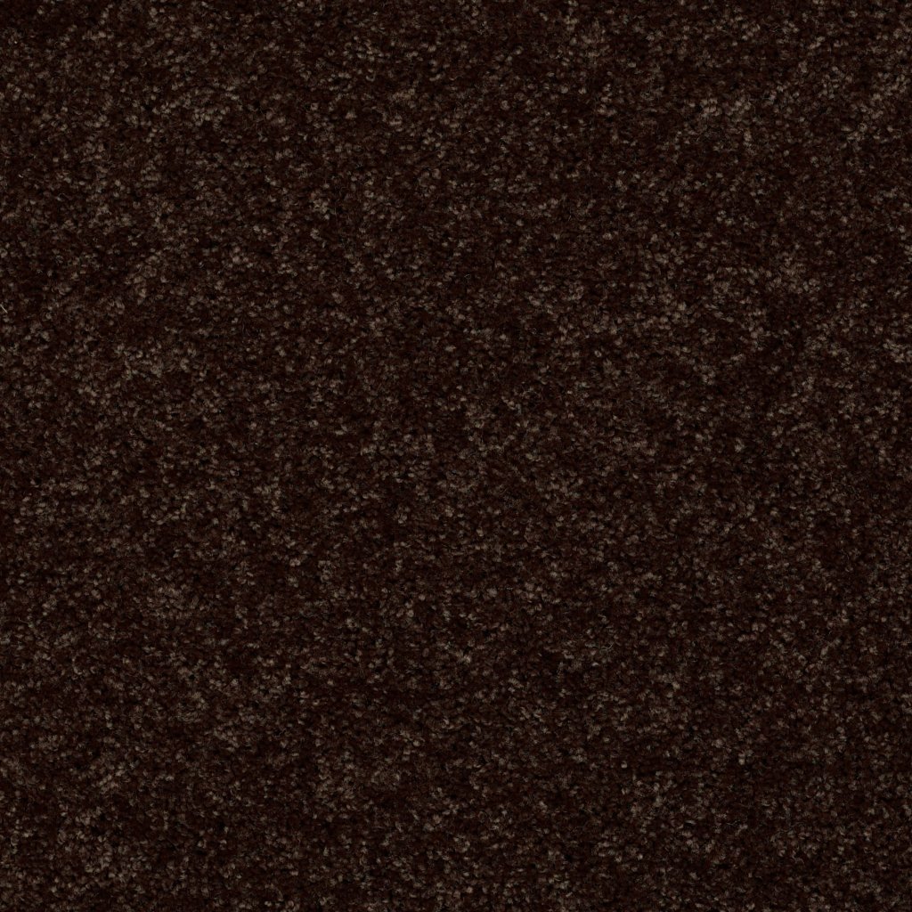 Shaw Floors Royal Portrush II 15' - Coffee Bean