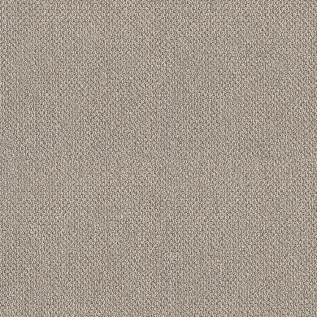 Artist View Loop