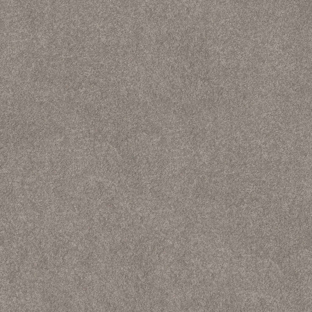 Shaw Floors Basic Rules - Sterling