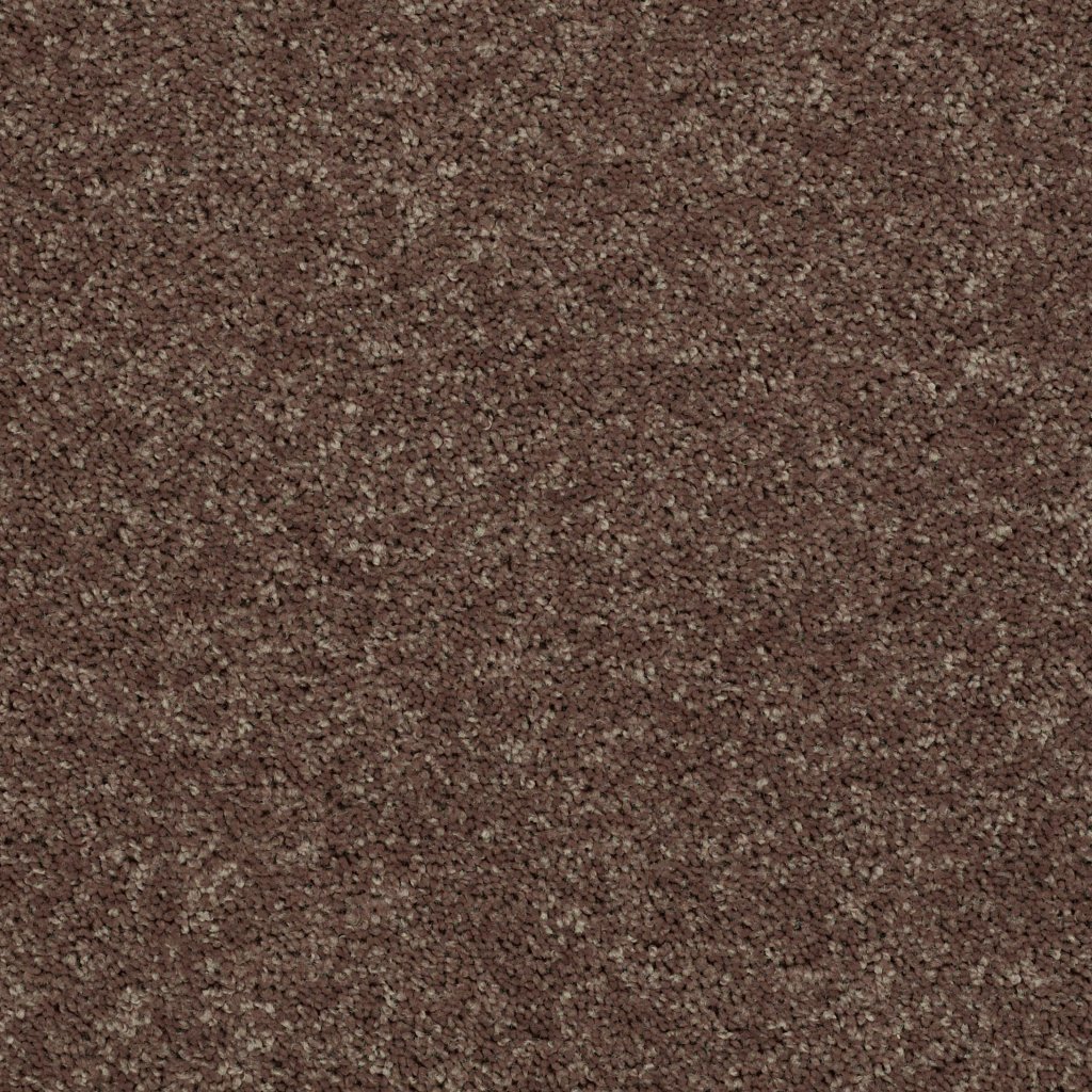 Shaw Floors Drexel Hill III 15' - Cattail