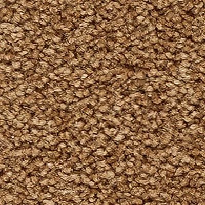 Mohawk Quality Living II - Clove