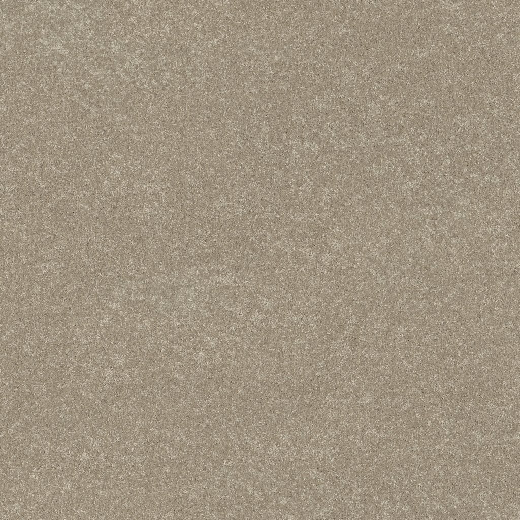Shaw Floors Basic Rules - Vicuna