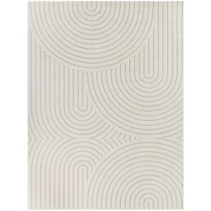 RUG Albion 5' x 7' Rectangle -