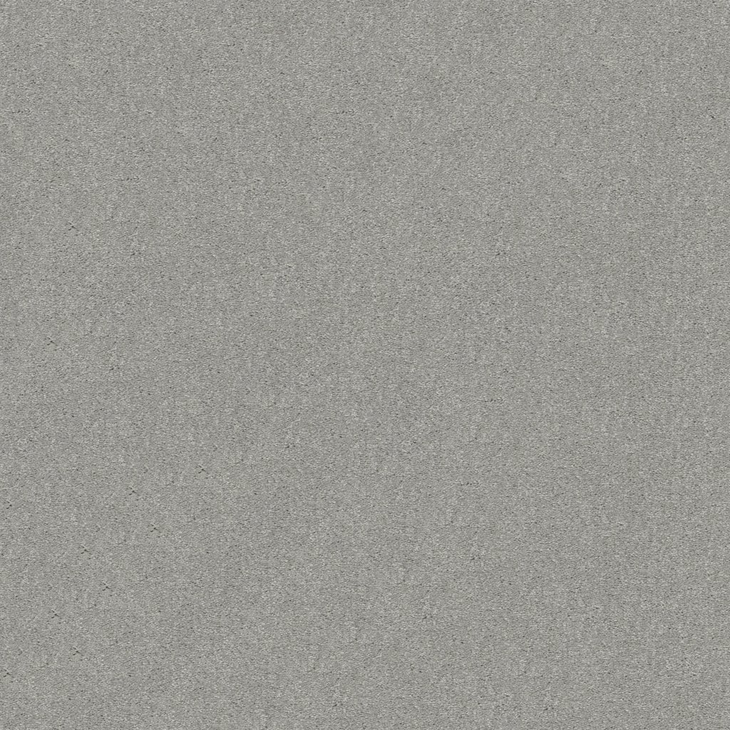 Shaw Floors Attainable - Platinum