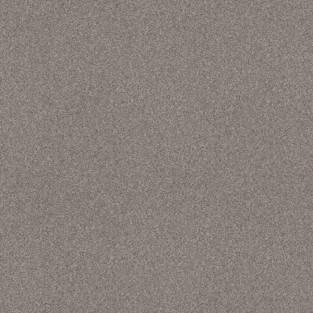 Shaw Floors Attainable - Clay