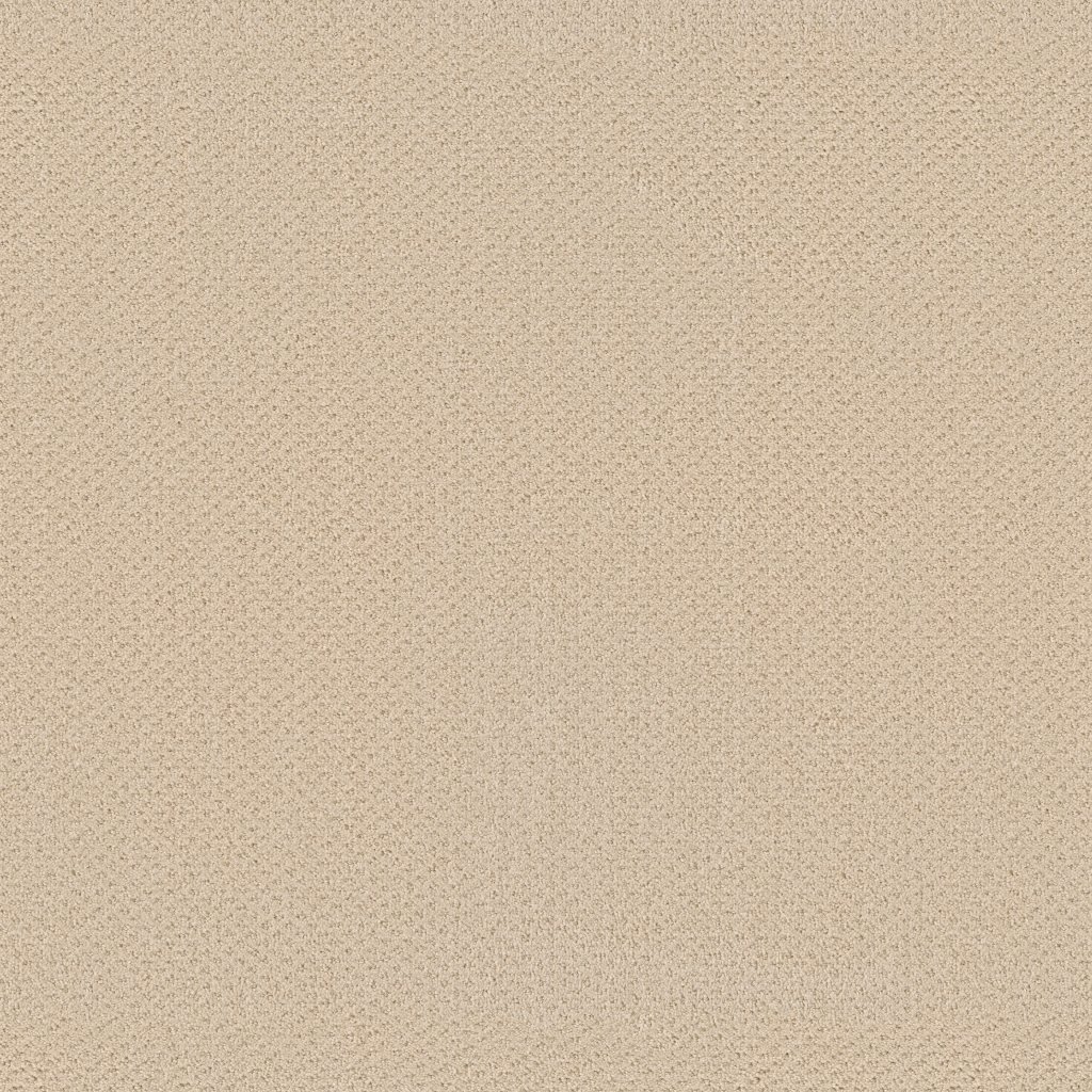 Shaw Floors Life Lessons - Winter White