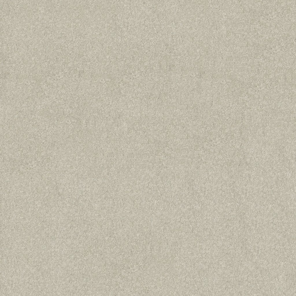 Shaw Floors Basic Rules - Creamery