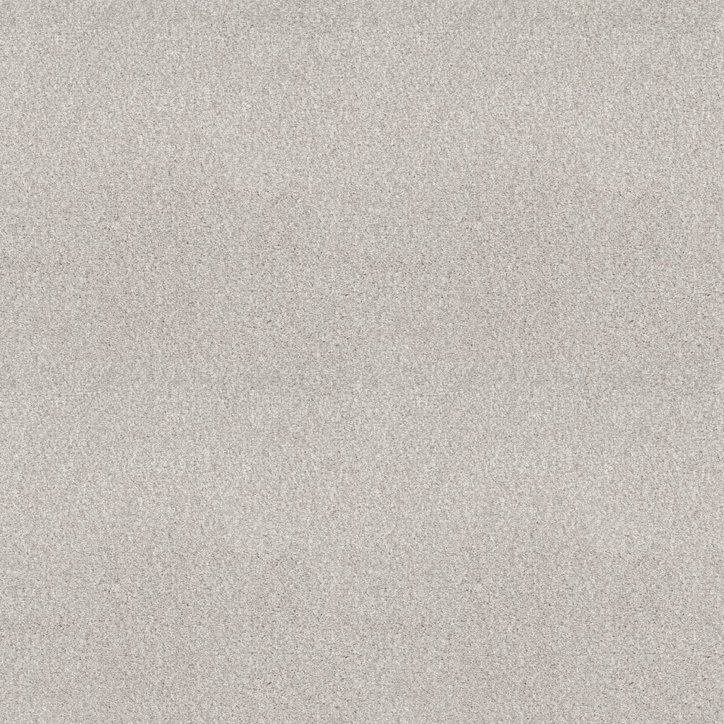 Shaw Floors Pure Comfort I - Whitewashed Frame