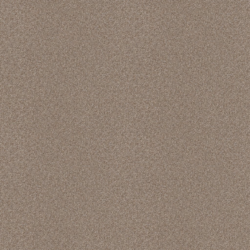 Shaw Floors Attainable - Grecian Tan