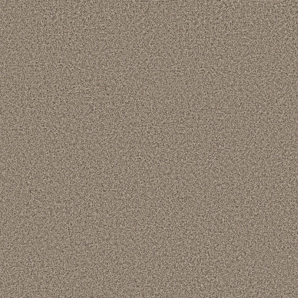 Shaw Floors Artistic Fusion I - Sea Shell