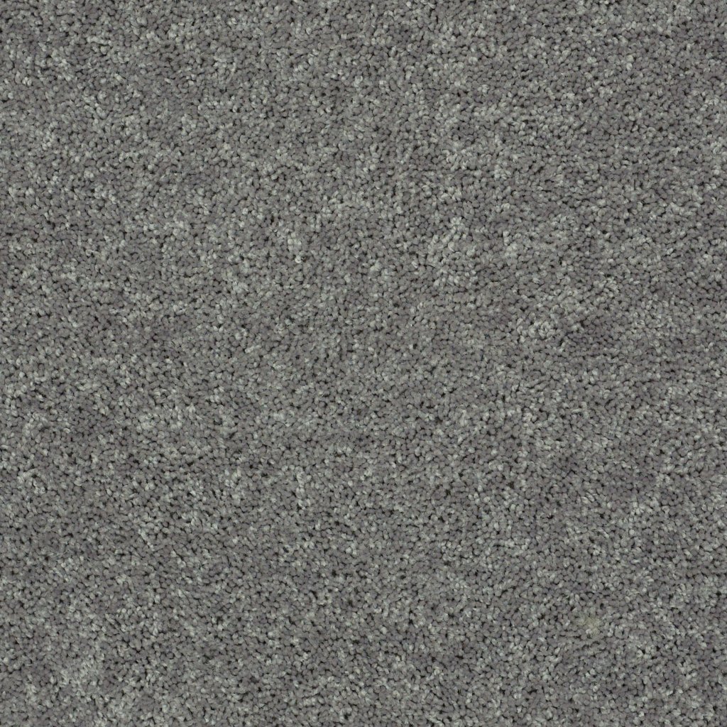 Shaw Floors Drexel Hill III 15' - Ink Spot