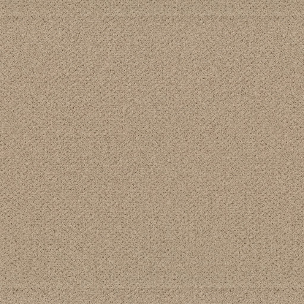 Shaw Floors Infallible Instinct - Soft Honey