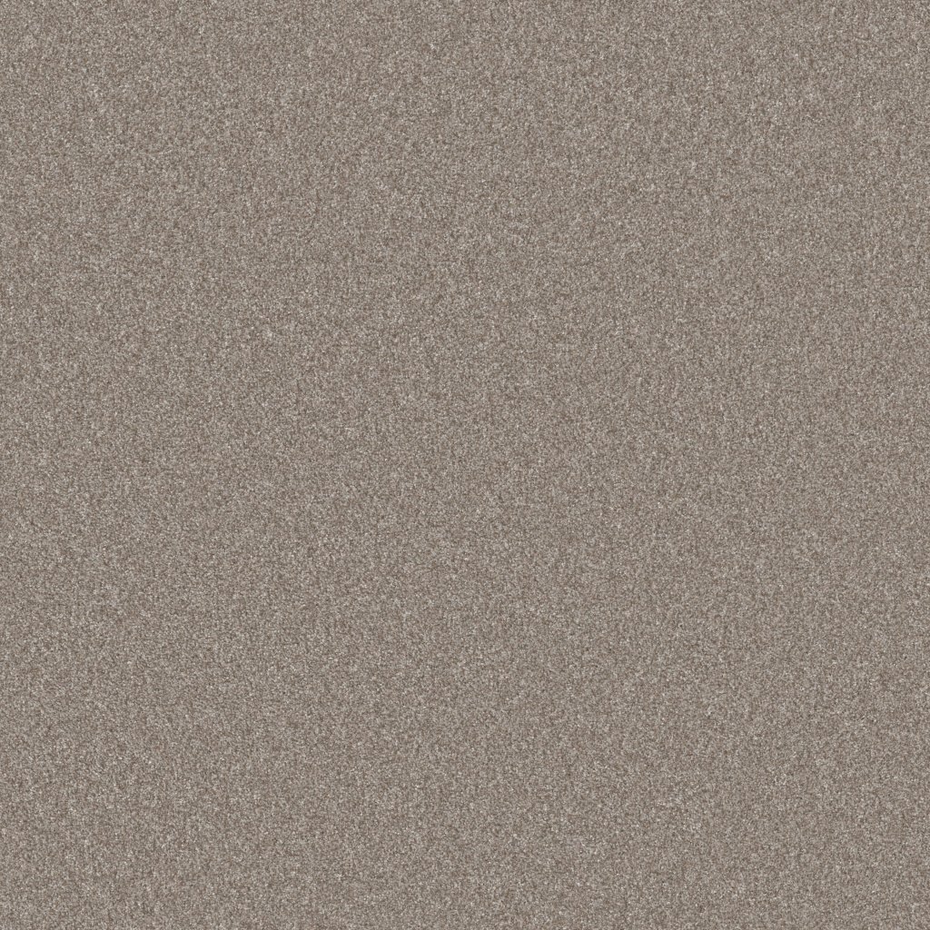 Shaw Floors Artistic Fusion I - Soft Sense