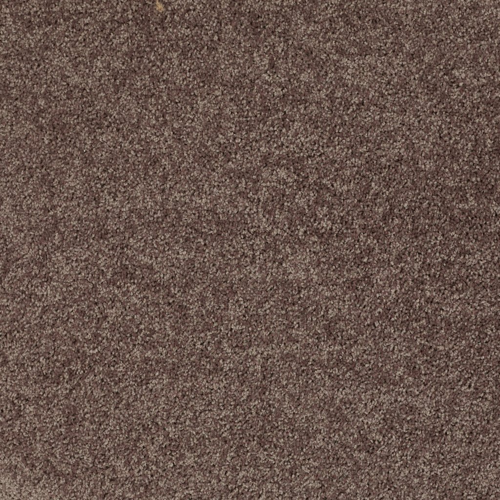 Shaw Floors Royal Portrush II 15' - Bare Mineral