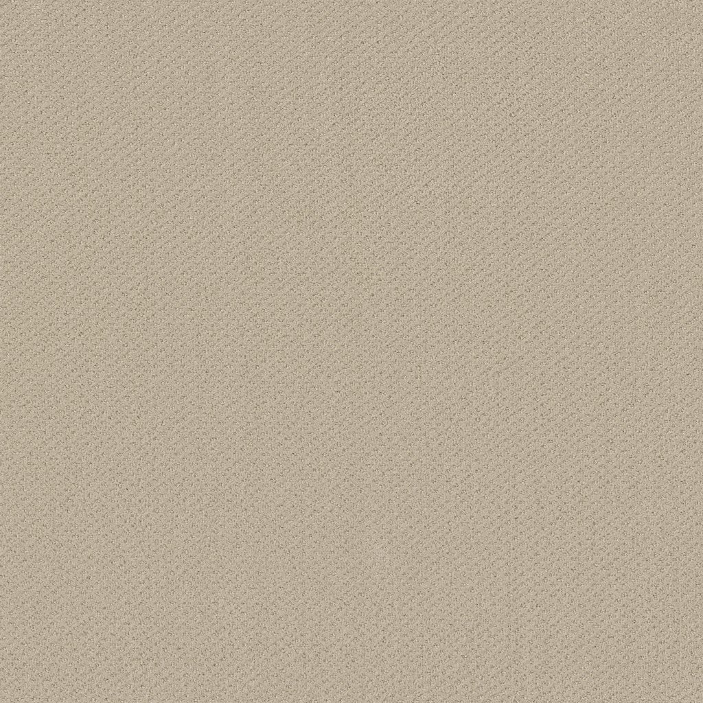 Shaw Floors Infallible Instinct - Sentimental