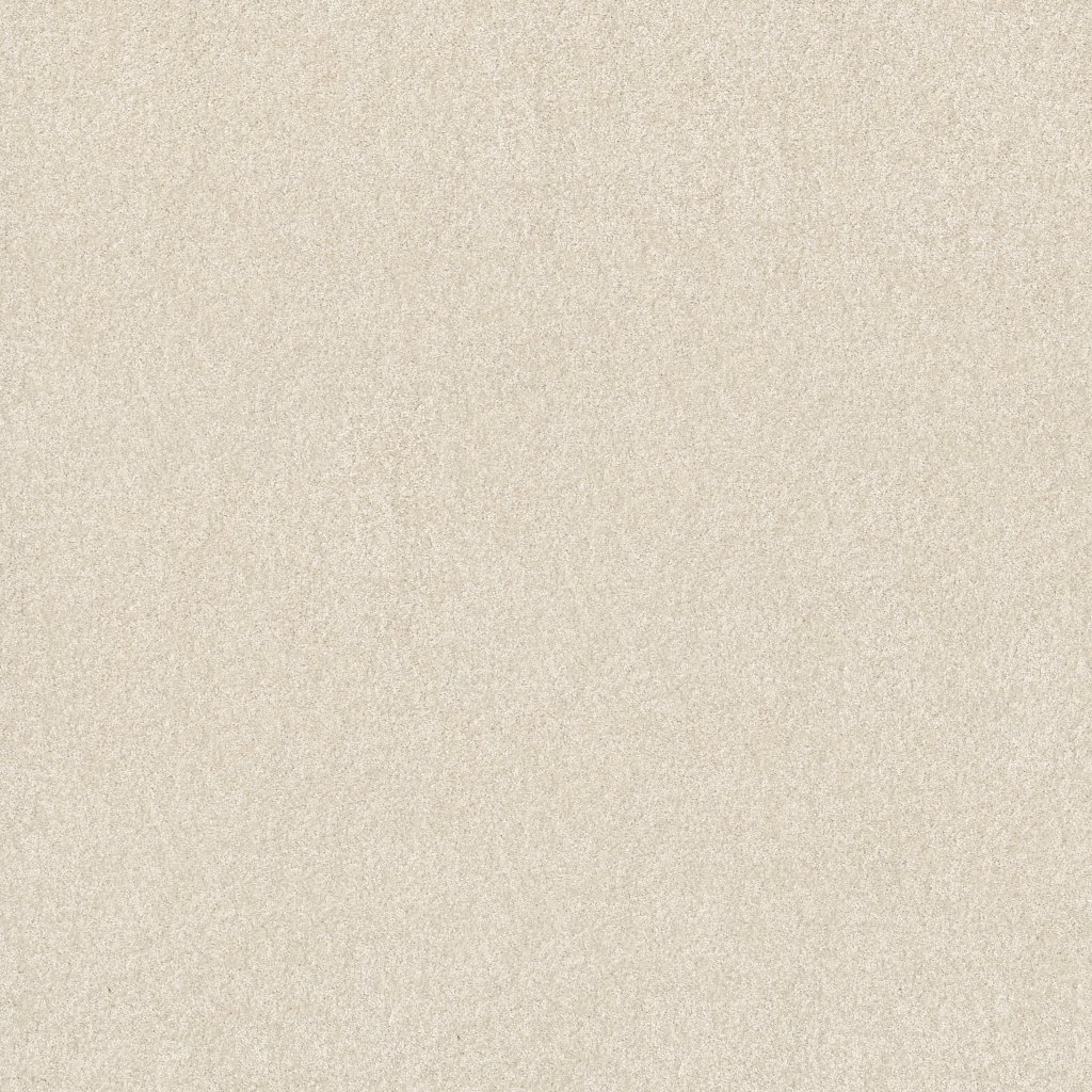 Shaw Floors Basic Rules - Oatmeal