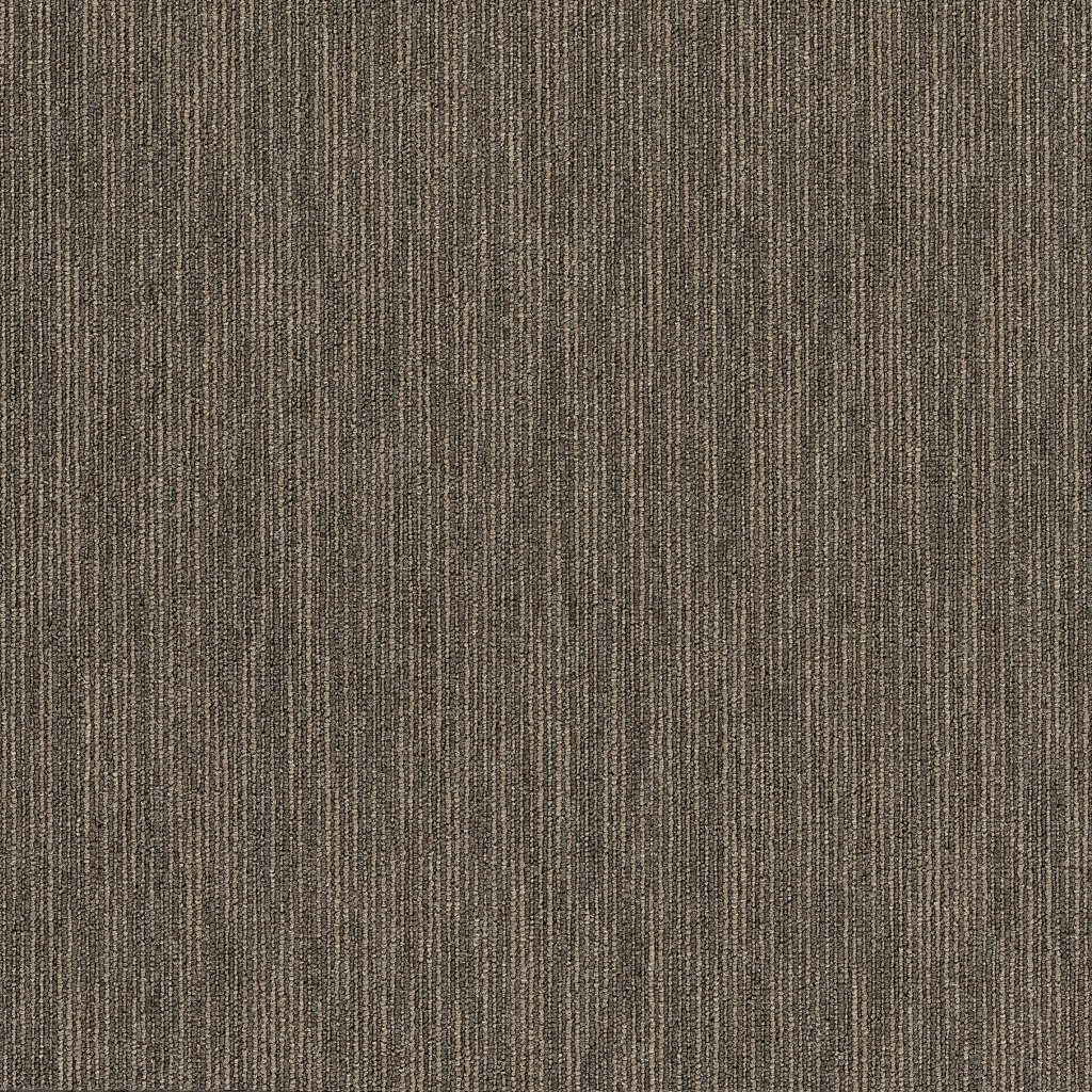 Dynamo