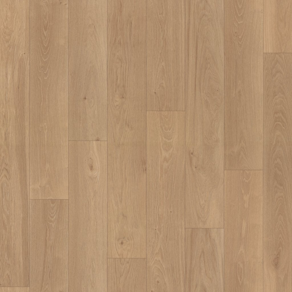 Shaw Floors Serendipity - Phoenix